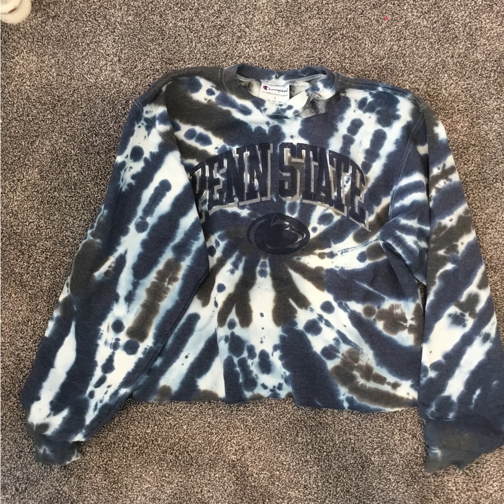 Champion Penn State Sweater